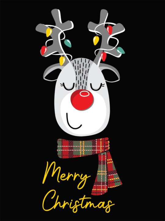 Adult Family Christmas Set